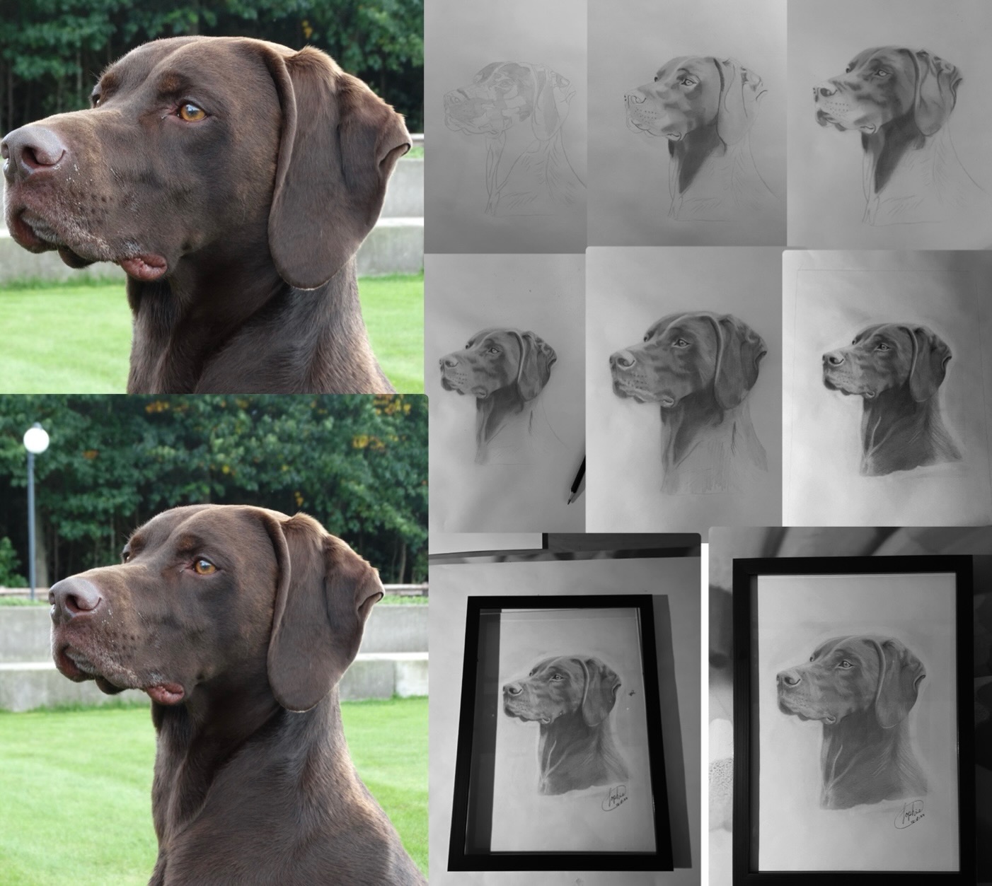 Portret 01