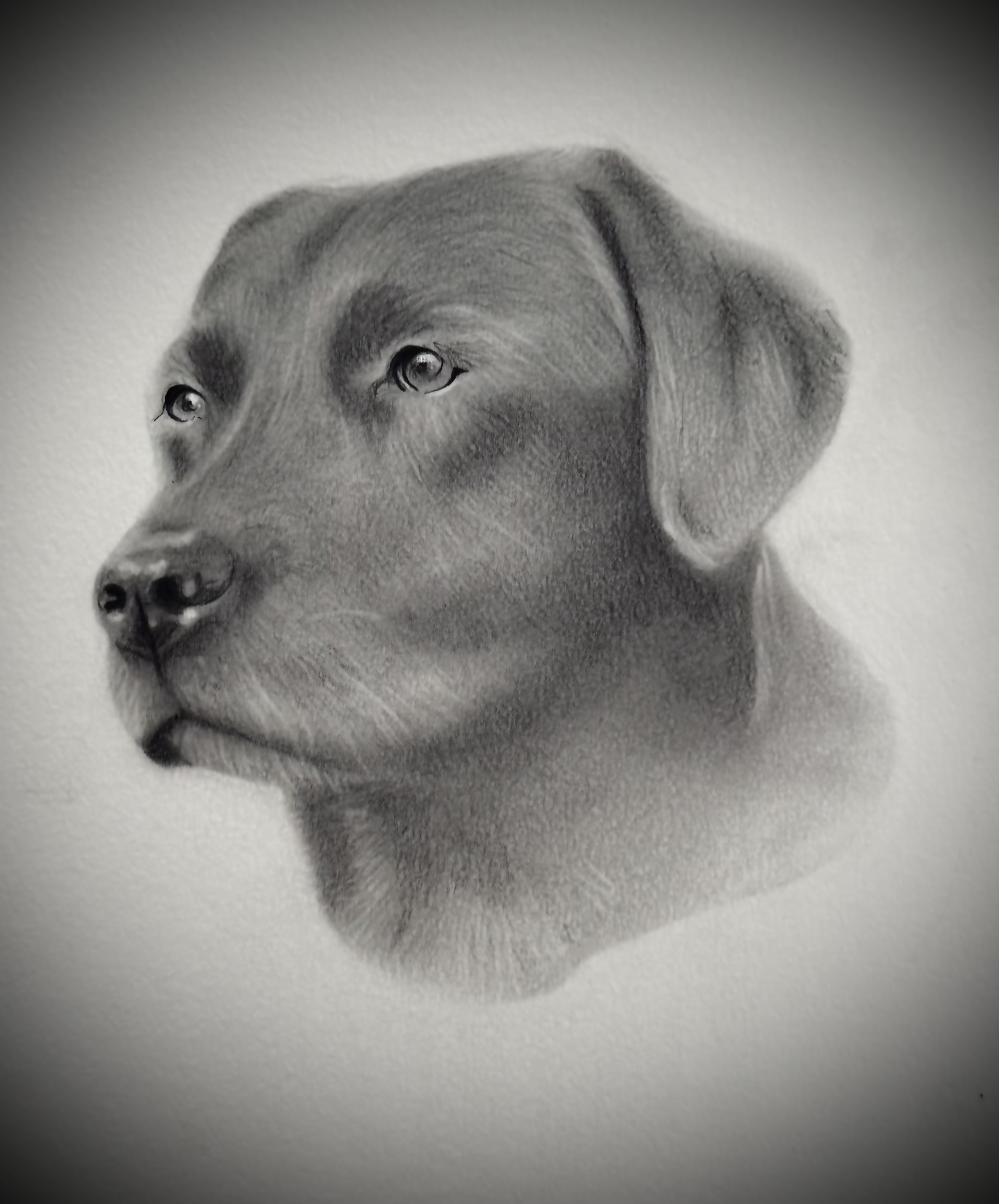 Portret 12